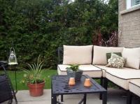 Cedar Hedge in Newmarket